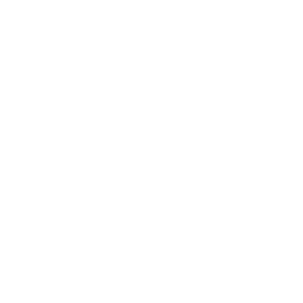 Logo Damiani Group
