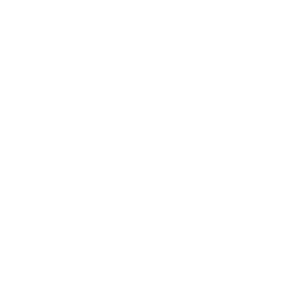 Logo DECIEM