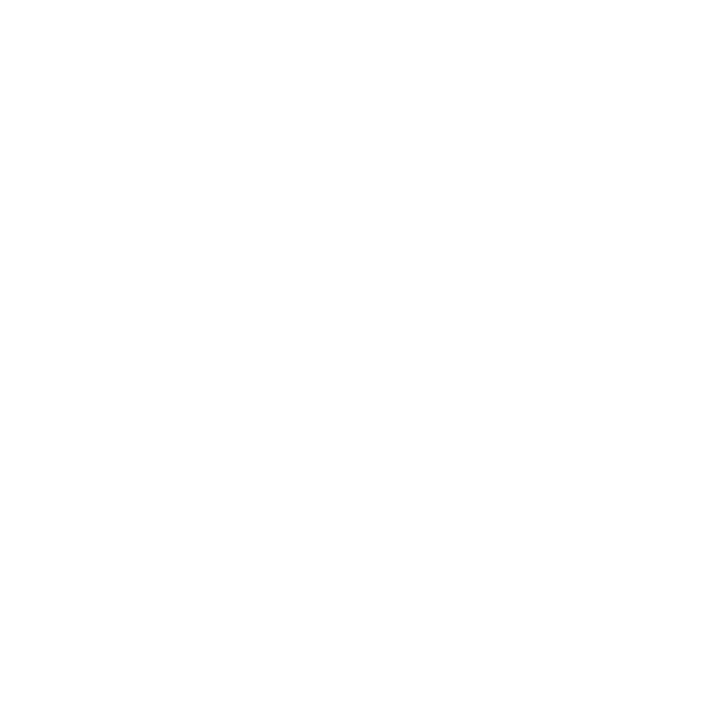 Swiss Timing Logo