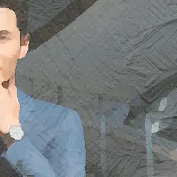 Geschäftsführer, Patentdienstleistungen visual